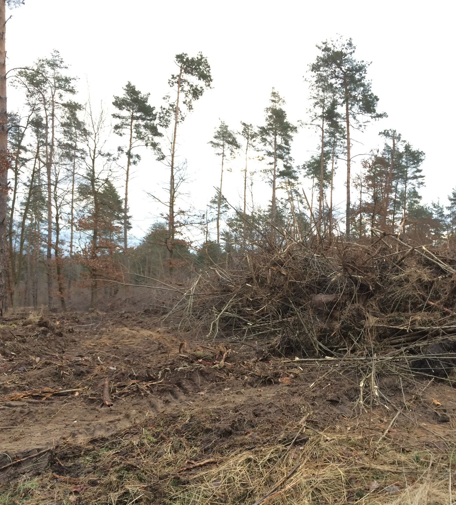 März 2015